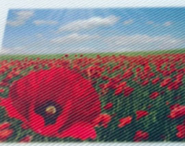 エステル葛城の魅力